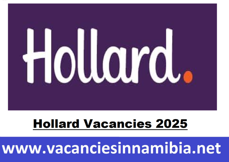 Hollard Vacancies 2025