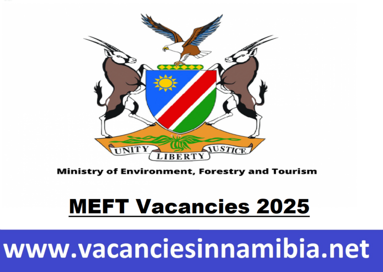 MEFT Vacancies 2025