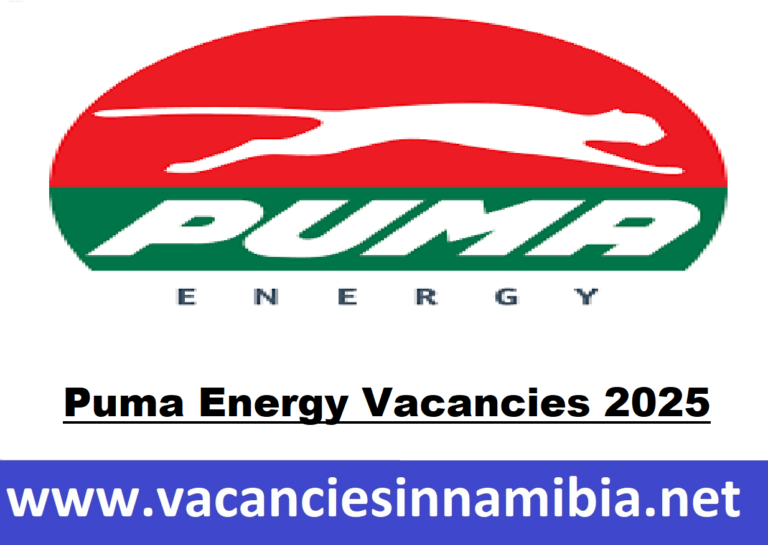 Puma Energy Vacancies 2025