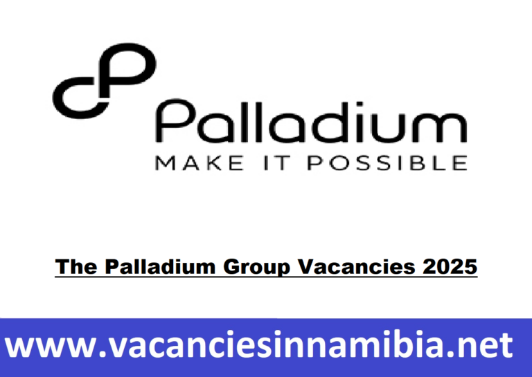 The Palladium Group Vacancies 2025