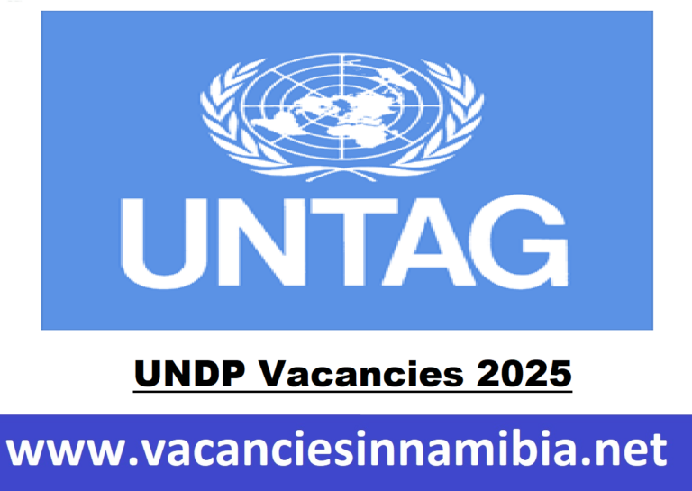 UNDP Vacancies 2025