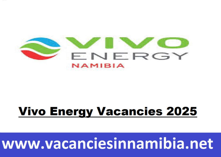 Vivo Energy Vacancies 2025