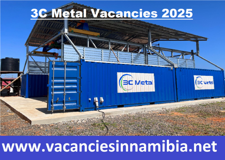 3C Metal Vacancies 2025