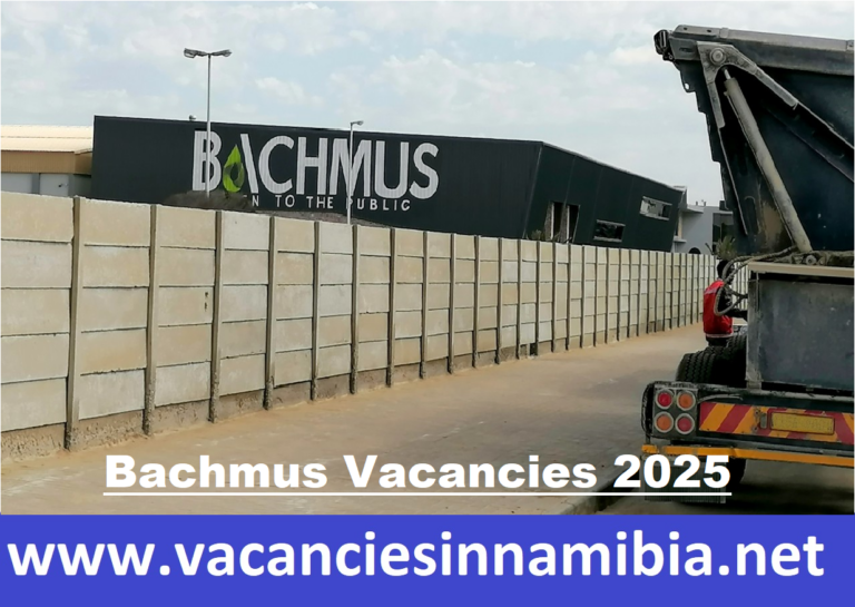 Bachmus Vacancies 2025