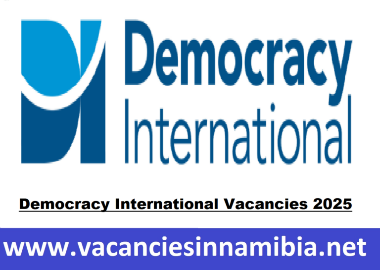 Democracy International Vacancies 2025