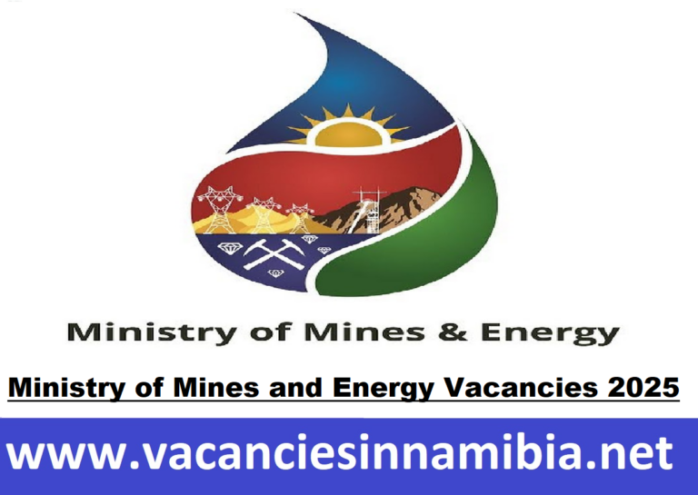 Ministry of Mines and Energy Vacancies 2025