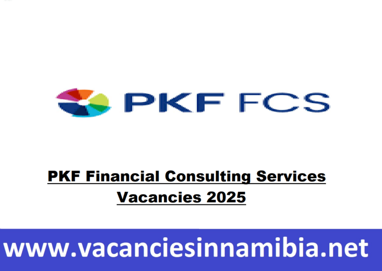 PKF Financial Consulting Services Vacancies 2025